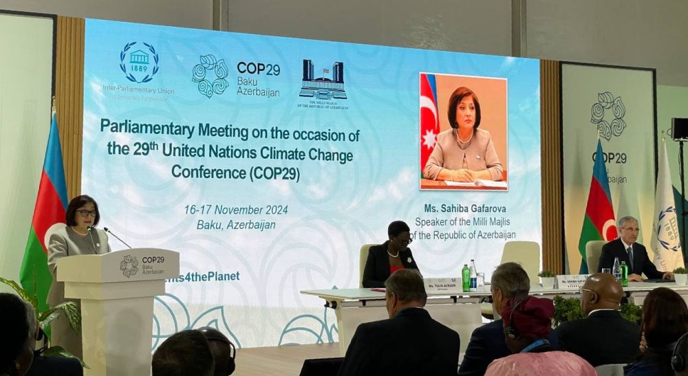           COP29 ( )