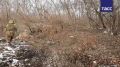 Расчеты FPV-дронов на оптоволокне уничтожили танк Leopard и опорный пункт ВСУ, сообщили в Минобороны РФ