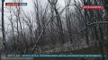 Боевая работа мобильных групп по борьбе с FPV-дронами на Покровском направлении