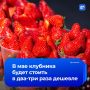 Цены на клубнику снизятся в два-три раза в мае