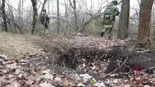 Более 70 кг взрывчатки обнаружили сотрудники Росгвардии в тайнике, оборудованном в одной из лесополос в ЛНР