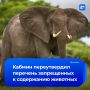 Слонов, крокодилов и медведей будет нельзя завести дома