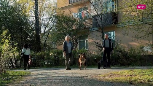 «Я подумала, что в окно что-то летит»