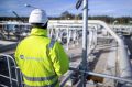 Газа нет, но хочется: в ФРГ вспомнили о «Северных потоках»