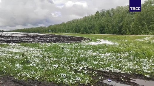 Снег выпал в Новосибирской области за четыре дня до наступления лета