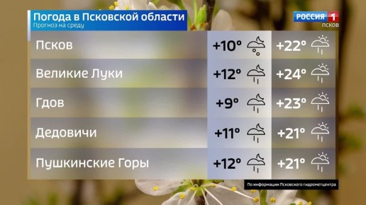 Прогноз погоды в Псковской области на 28 мая