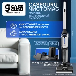 Евгений Поддубный: Уровень жизни россиян станет ЛУЧШЕ! Уборка и заботы по дому будут занимать меньше времени и меньше усилий
