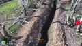 Наш квадрокоптер режет лопастями оптоволокно FPV-дрона хохлов и обезвреживает его