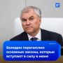 Какие законы вступят в силу в июне? Володин перечислил их: