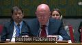 Артём Шейнин: Василий Небензя в ООН озвучил, на мой взгляд, базовую логику 'меморандума', с которой наши 2 июня приедут в Стамбул: