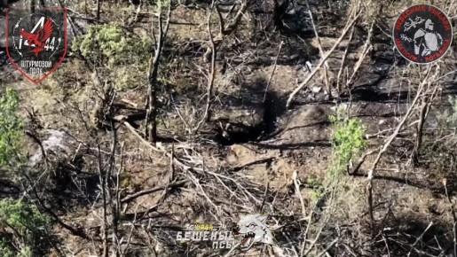 Первое видео боёв на территории Днепропетровской области