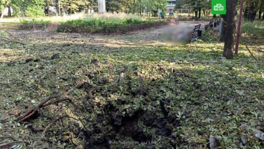 Украинская артиллерия убила двух женщин в парке города Селидово в ДНР