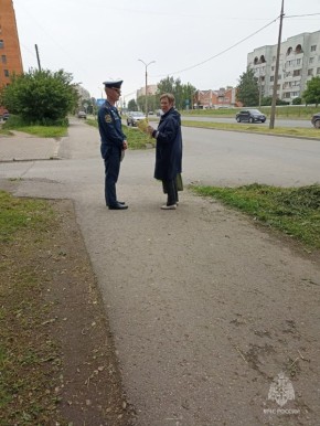 #Профилактика. Сегодня сотрудниками Главного управления МЧС России по Псковской области на территории города Пскова, на улицах Инженерная, Индустриальная, Алтаева, проведен профилактический рейд, направленный на...