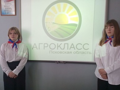 Команда Сремуткинской школы стала победителем областного конкурса на лучший логотип класса агротехнологической направленности