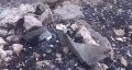 Ещё один сбитый израильский беспилотник был обнаружен в провинциях Илам и Лурестан, Иран