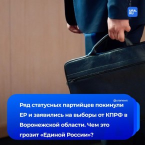 Воронежское отделение «Единой России» покинули статусные и авторитетные партийцы