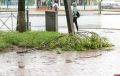 Усиление ветра ожидается на территории Псковской области 3-4 июля