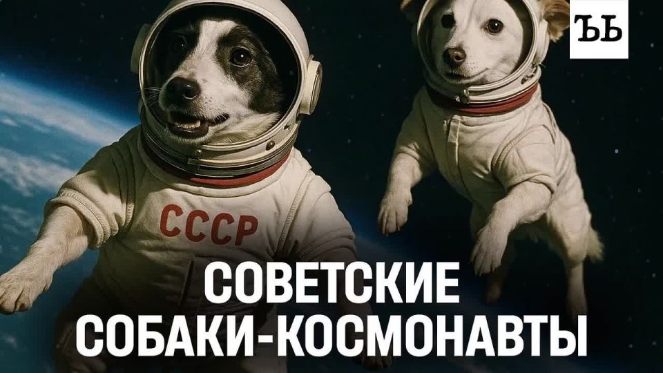  68  , 3  1957-,      -2,              