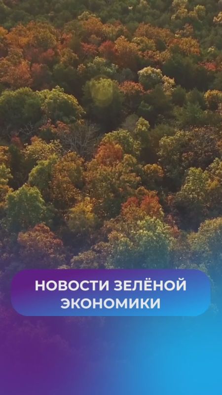 40 млн га — много? На них поместится вся Москва