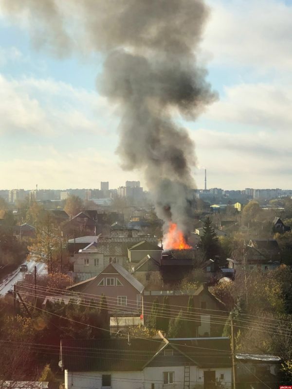 Подробности пожара с 12-ю погибшими собаками на улице Шоссейной в Пскове Подробности пожара с 12-ю погибшими собаками на улице Шоссейной в Пскове