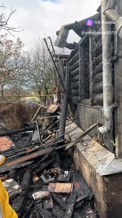 Подробности пожара с 12-ю погибшими собаками на улице Шоссейной в Пскове