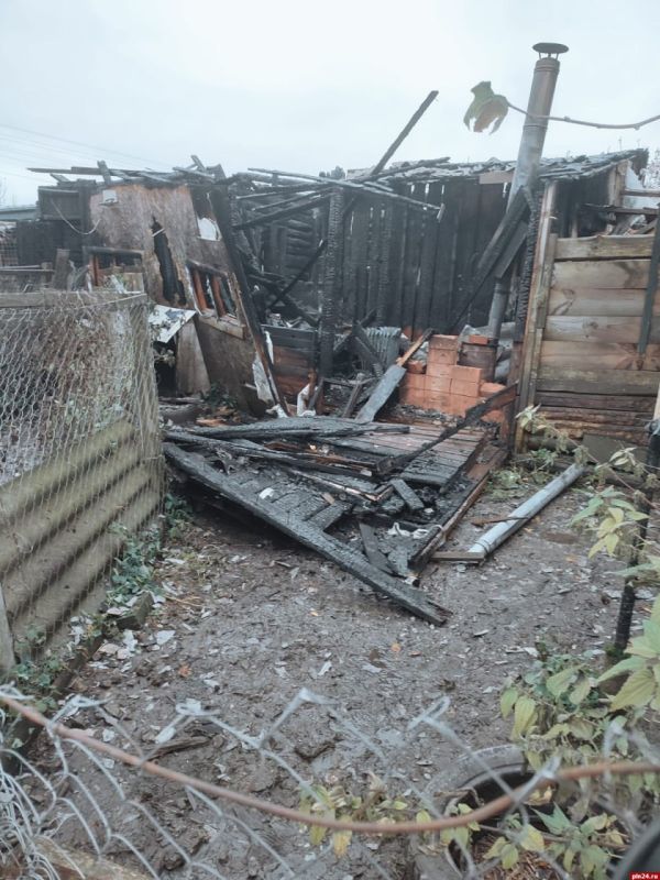 Подробности пожара с 12-ю погибшими собаками на улице Шоссейной в Пскове Подробности пожара с 12-ю погибшими собаками на улице Шоссейной в Пскове