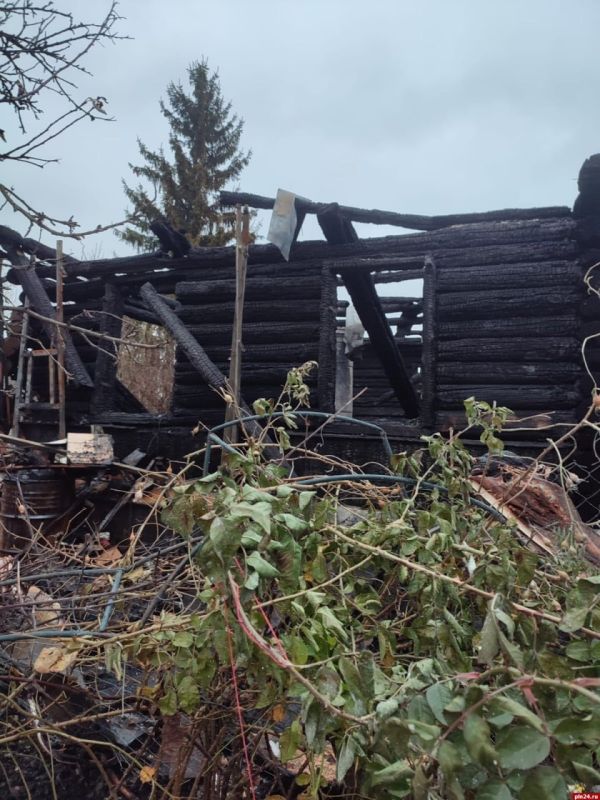 Подробности пожара с 12-ю погибшими собаками на улице Шоссейной в Пскове Подробности пожара с 12-ю погибшими собаками на улице Шоссейной в Пскове