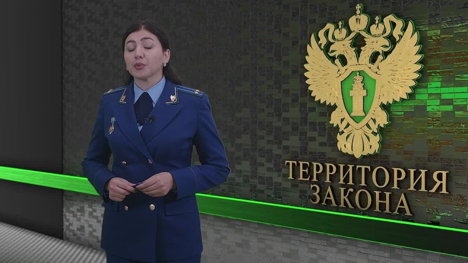 #Территория_закона. Публикуем полный выпуск программы «Территория закона»