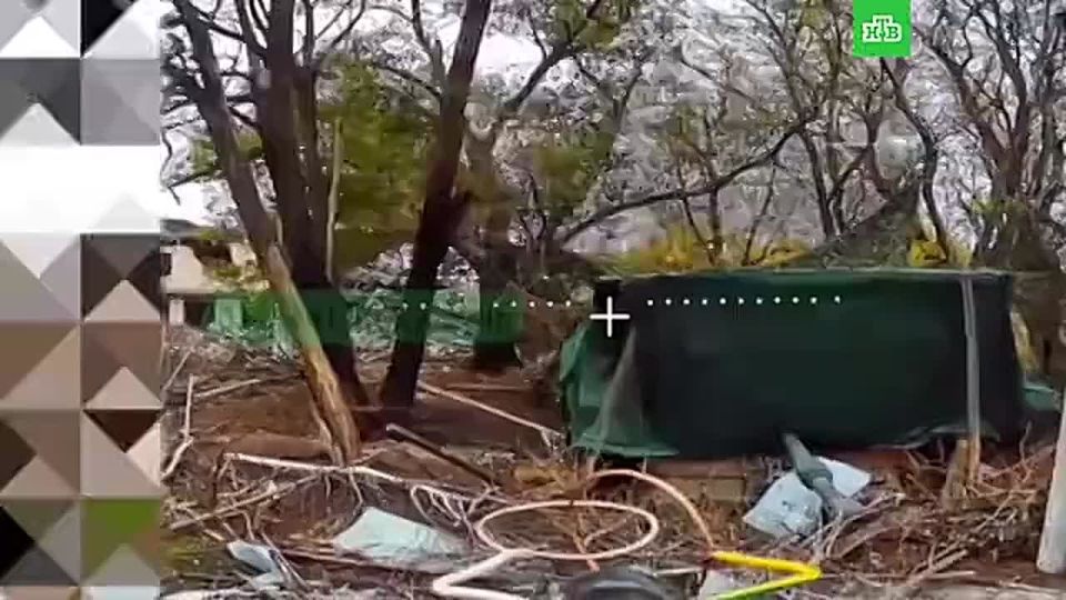  :  FPV-       Paladin 蠫,      