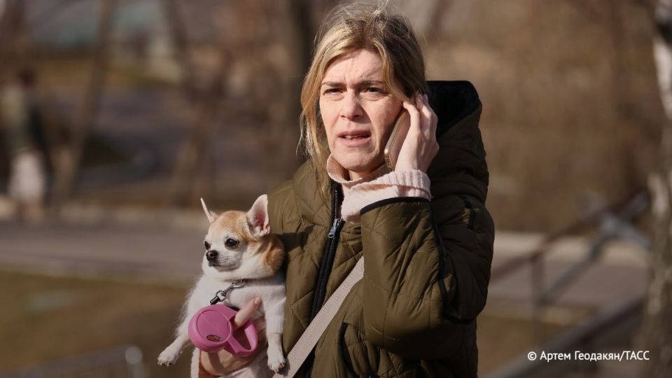 "Период охлаждения" планируют ввести для российских сим-карт, сообщил "Коммерсантъ" со ссылкой на источник на телеком-рынке