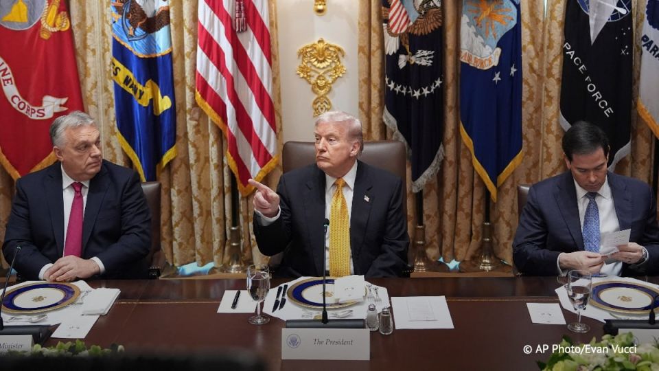  ,           &quot;    &quot;