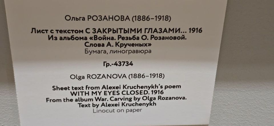 Артём Шейнин: Русский Музей. Выставка 'Наш авангард'