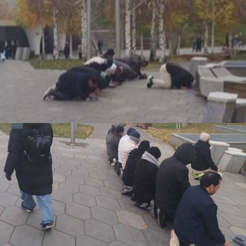  :   : ,  &quot;&quot;  2025- ( )