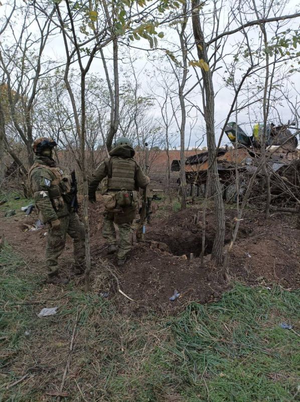   @Tristatridzatri   λ