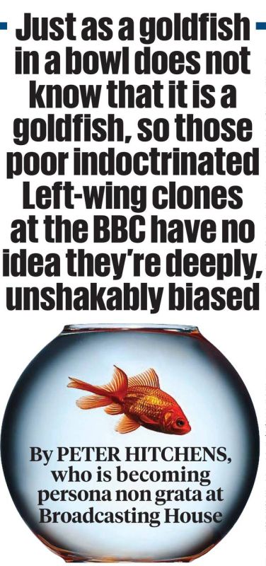  :      --         Daily Mail