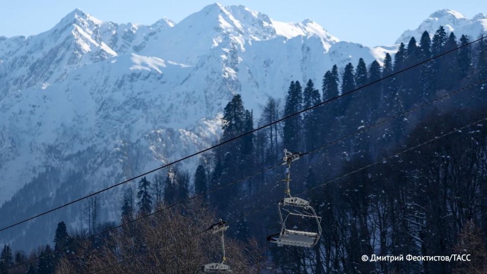           ,       ,        &quot; &quot;