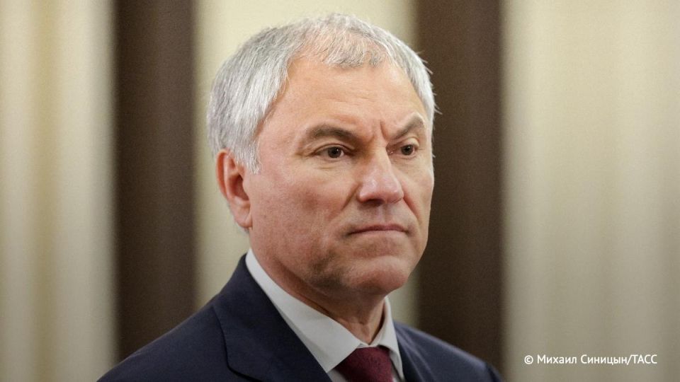 Володин заявил о потенциальном вреде продажи детям продукции, имитирующей алкоголь