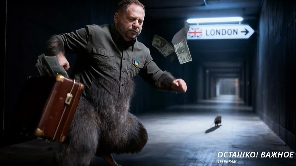 Запад сливает «Али-Бабу»: Ермак стал токсичным для Вашингтона