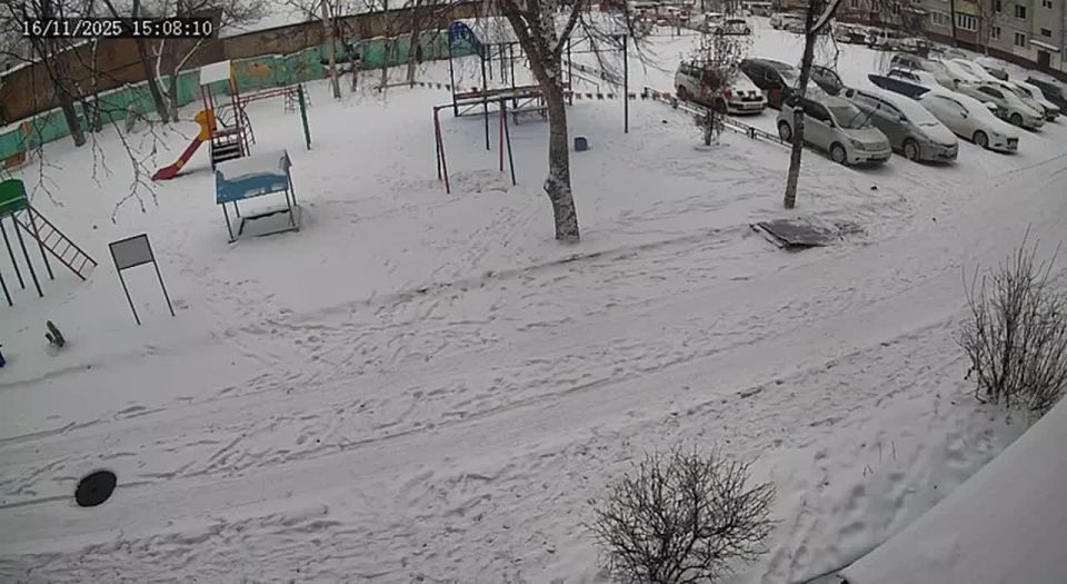 Бродячая собака напала на 7-летнюю девочку в Благовещенске