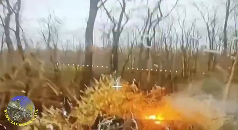 Наши операторы дронов поделились результатами своей работы по очищению российской земли от нацизма!