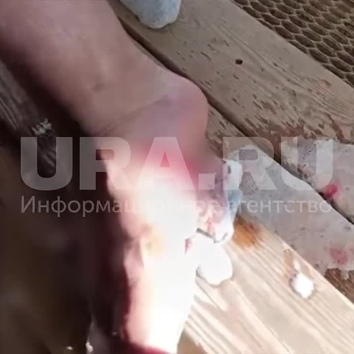 Кроссовки с «сюрпризом» приобрел житель ХМАО