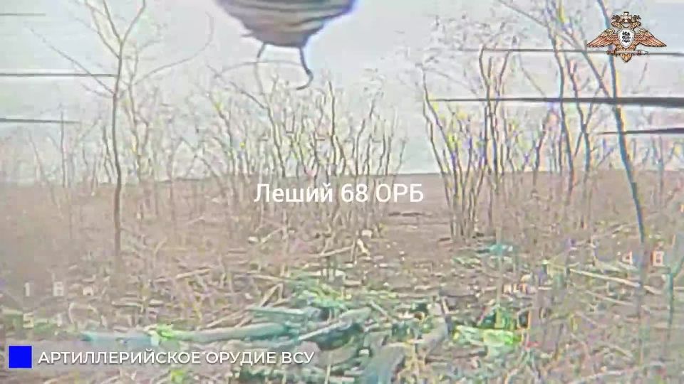 68 батальон уничтожает личный состав, позиции, транспорт и М119 ВСУ в Софиевке и Новопавловке