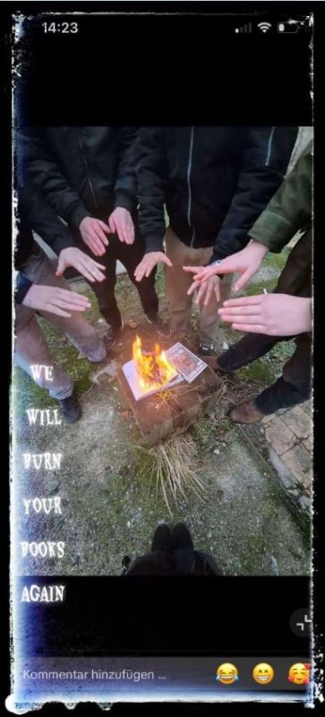 Неонацисты в Австрии используют TikTok для продвижения своей идеологии, пишет издание Der Standard