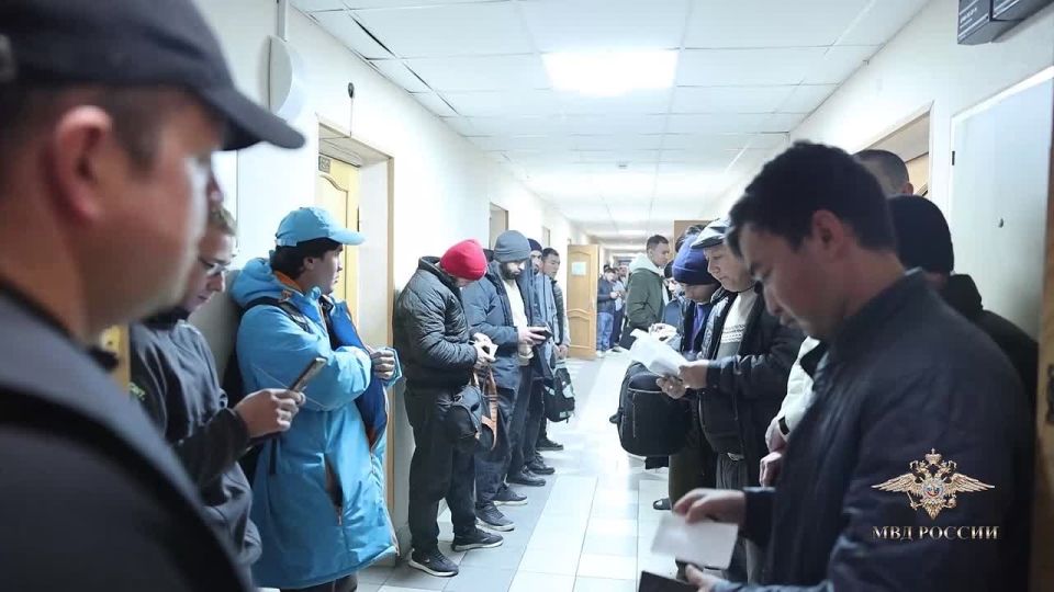 Питерский гендир хостелов вместе с подельником мигрантом легализовали более 3 тыс нелегалов