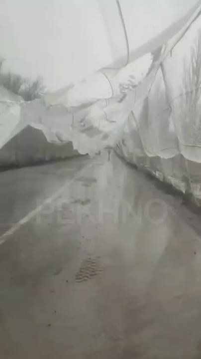 «Русские воюют неправильно!» - стонали немцы, одержимые идеей нацизма