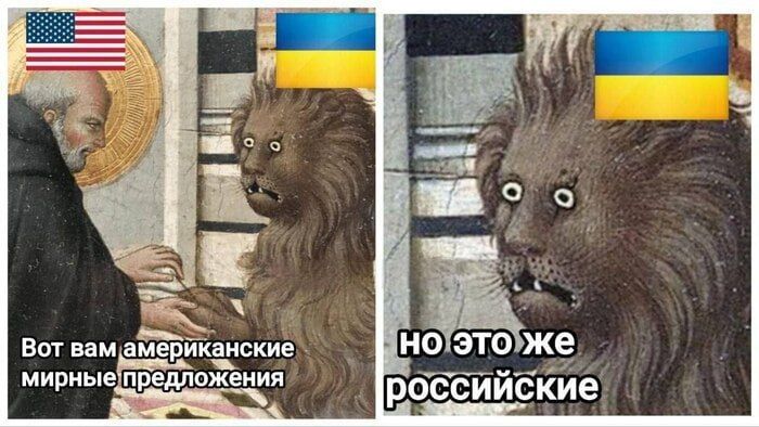         , -   ,   ,     28      ,  