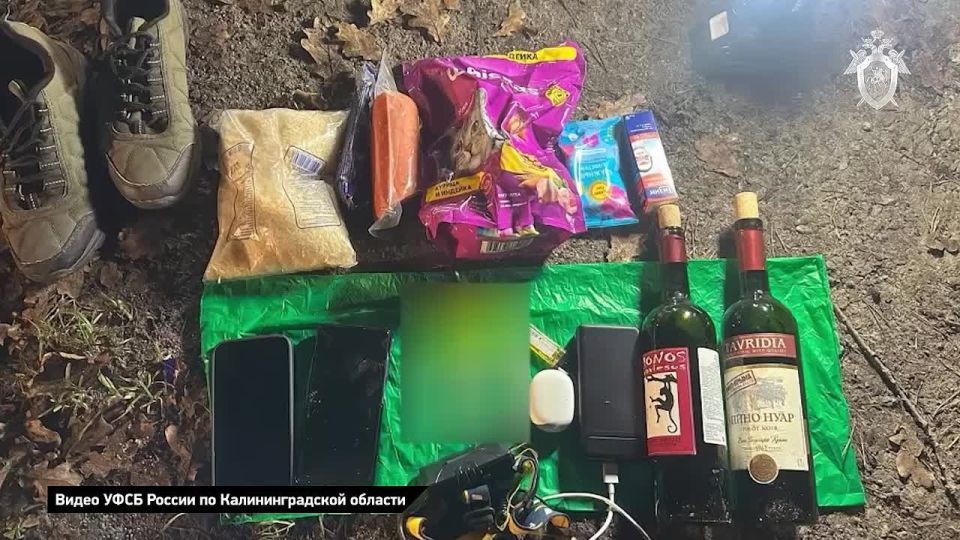 Екатерина Мизулина: В Калининградской области задержали подростка, который планировал теракт в православном храме в по указке спецслужб Украины