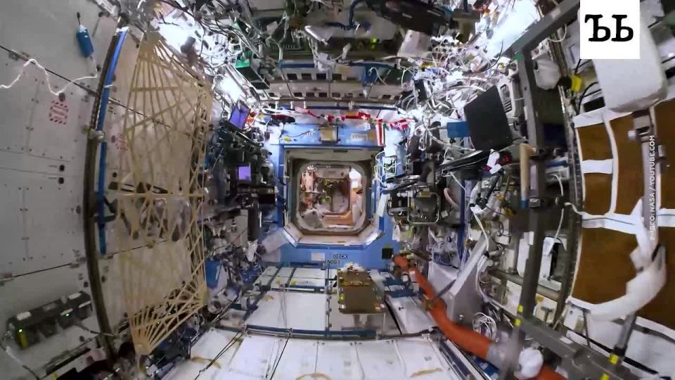 Мох выжил после девяти месяцев пребывания в открытом космосе