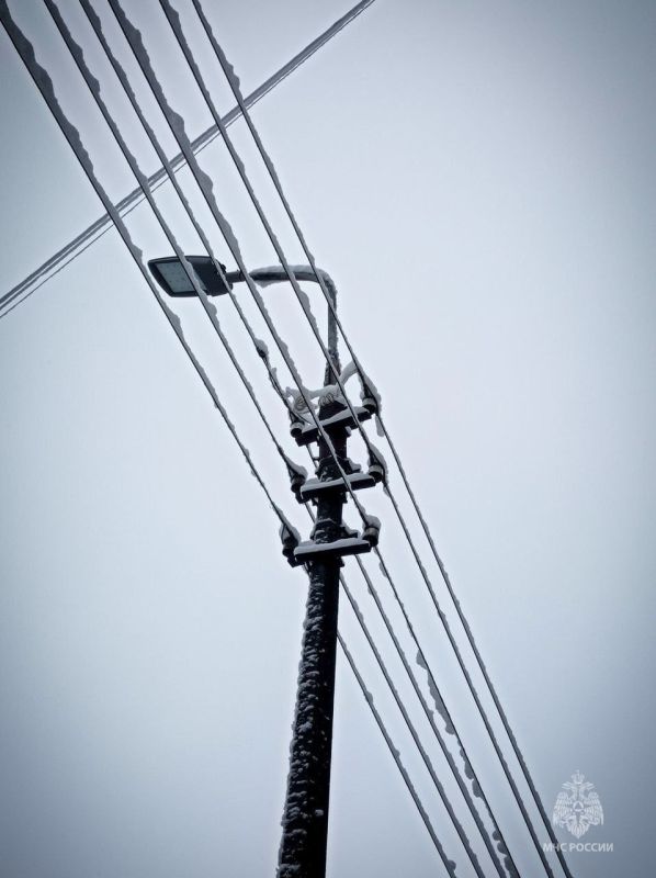 МЧС России предупреждает: на территории Псковской области ожидается налипание мокрого снега