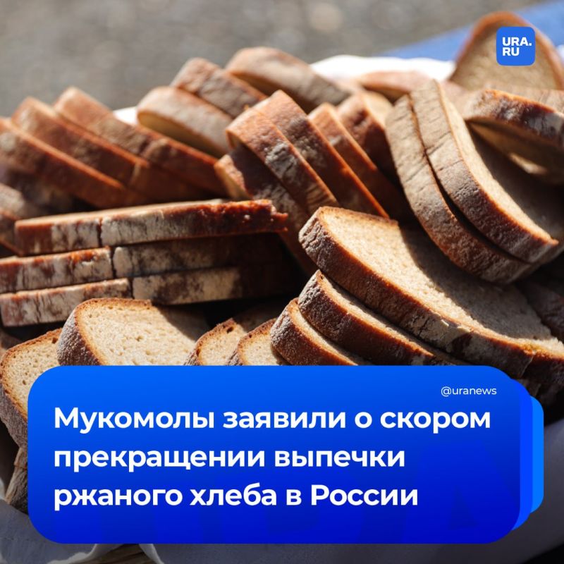 В России может исчезнуть ржаной хлеб